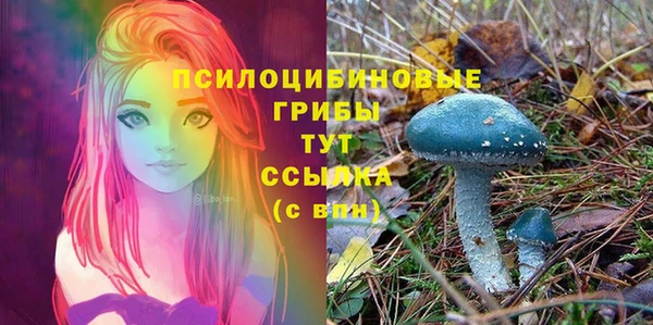 бошки Алзамай