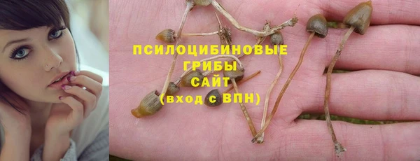 соль курить ск Алексеевка