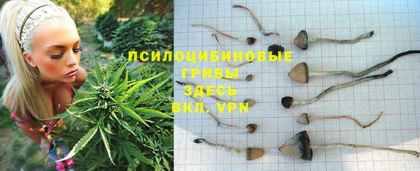 бошки Алзамай