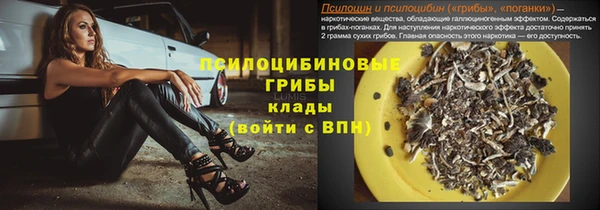 герыч Алексин