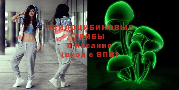 герыч Алексин