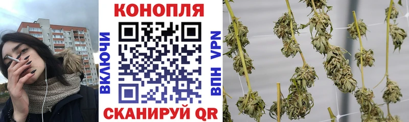 Бошки марихуана план  мориарти какой сайт  Жуковка  магазин продажи   ссылка на мегу зеркало 